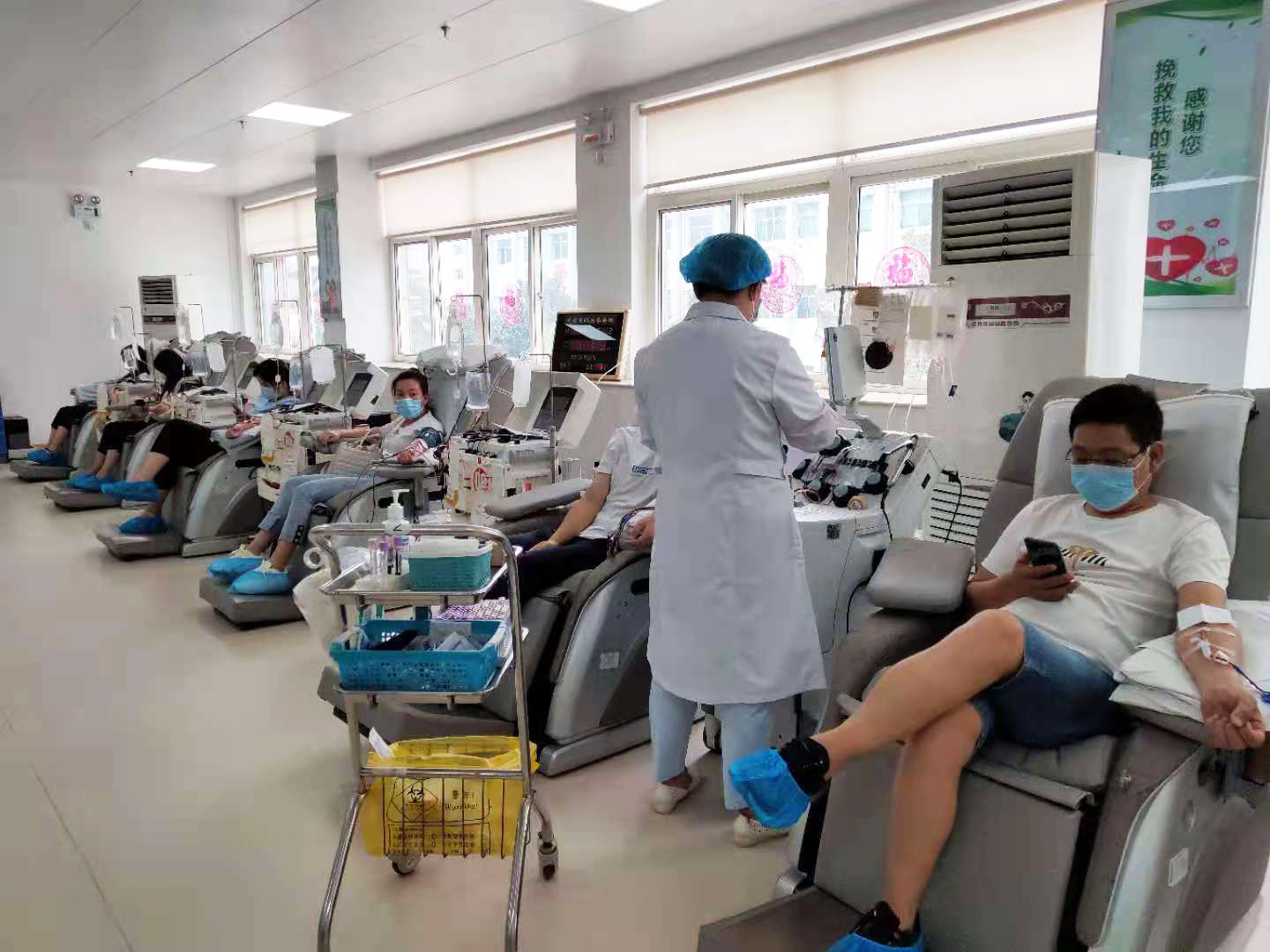 單采成分血、機采血小板獻血中